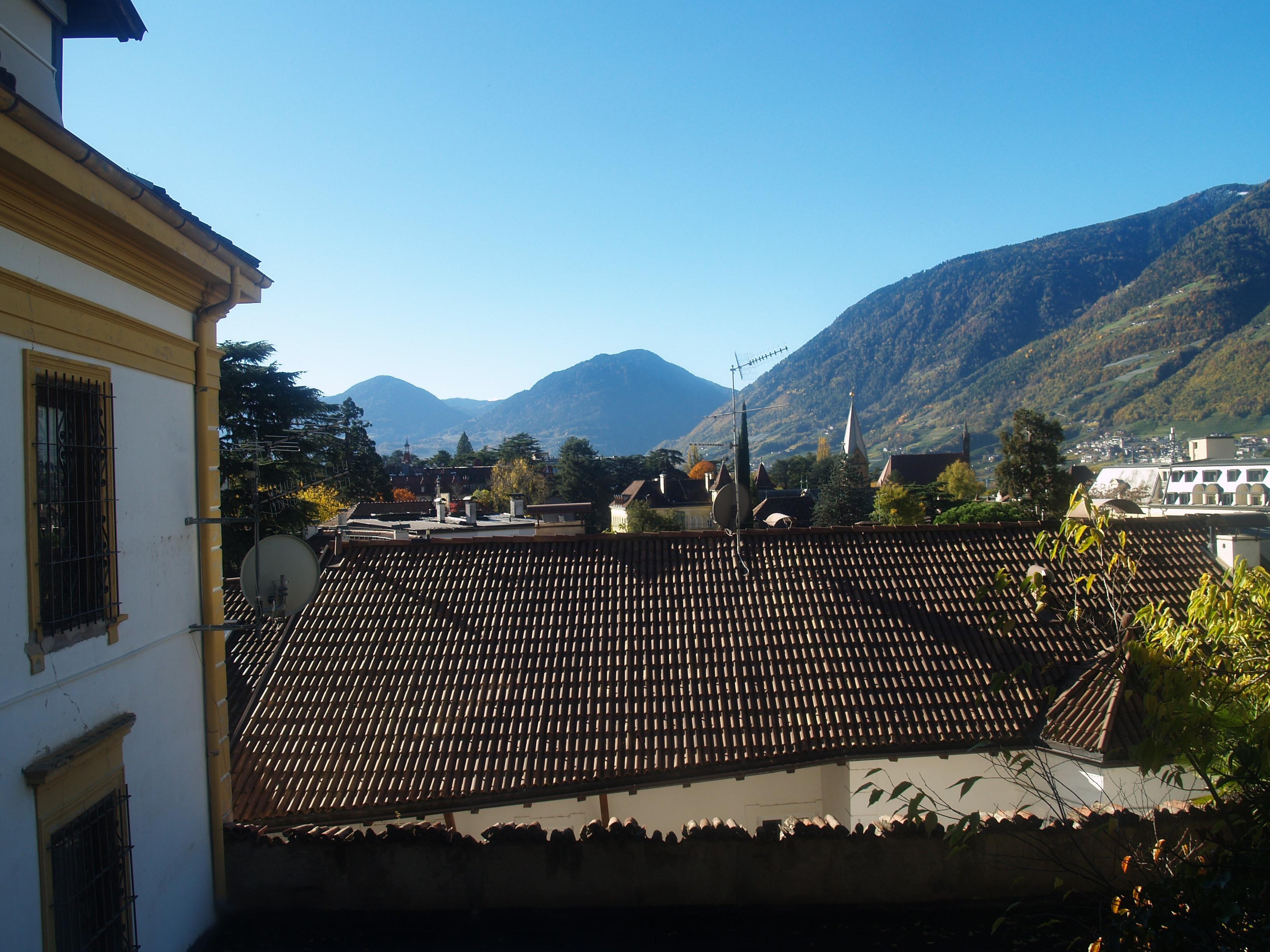 View from the living room