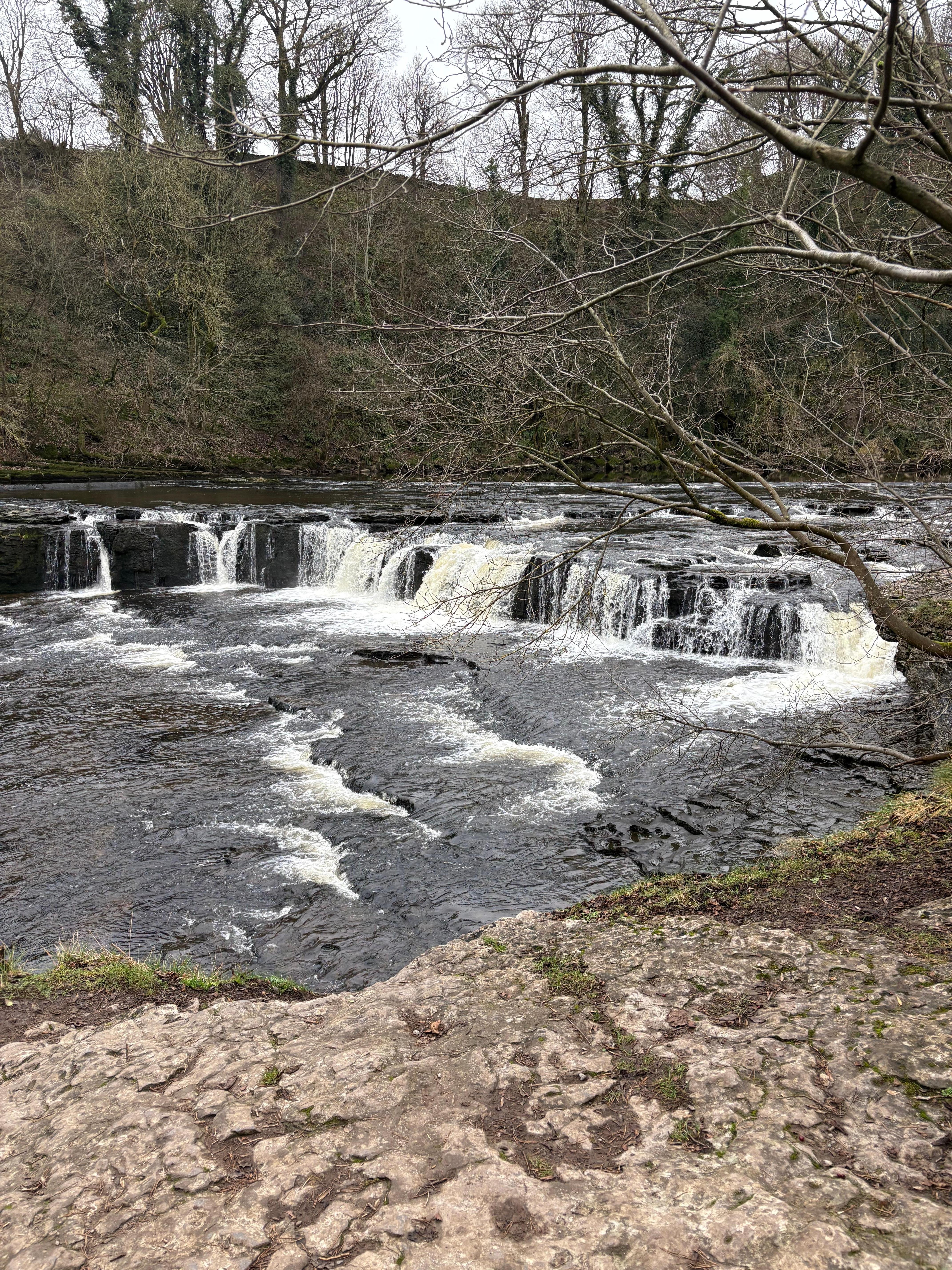 Aysgarth Falls (Lower Falls)