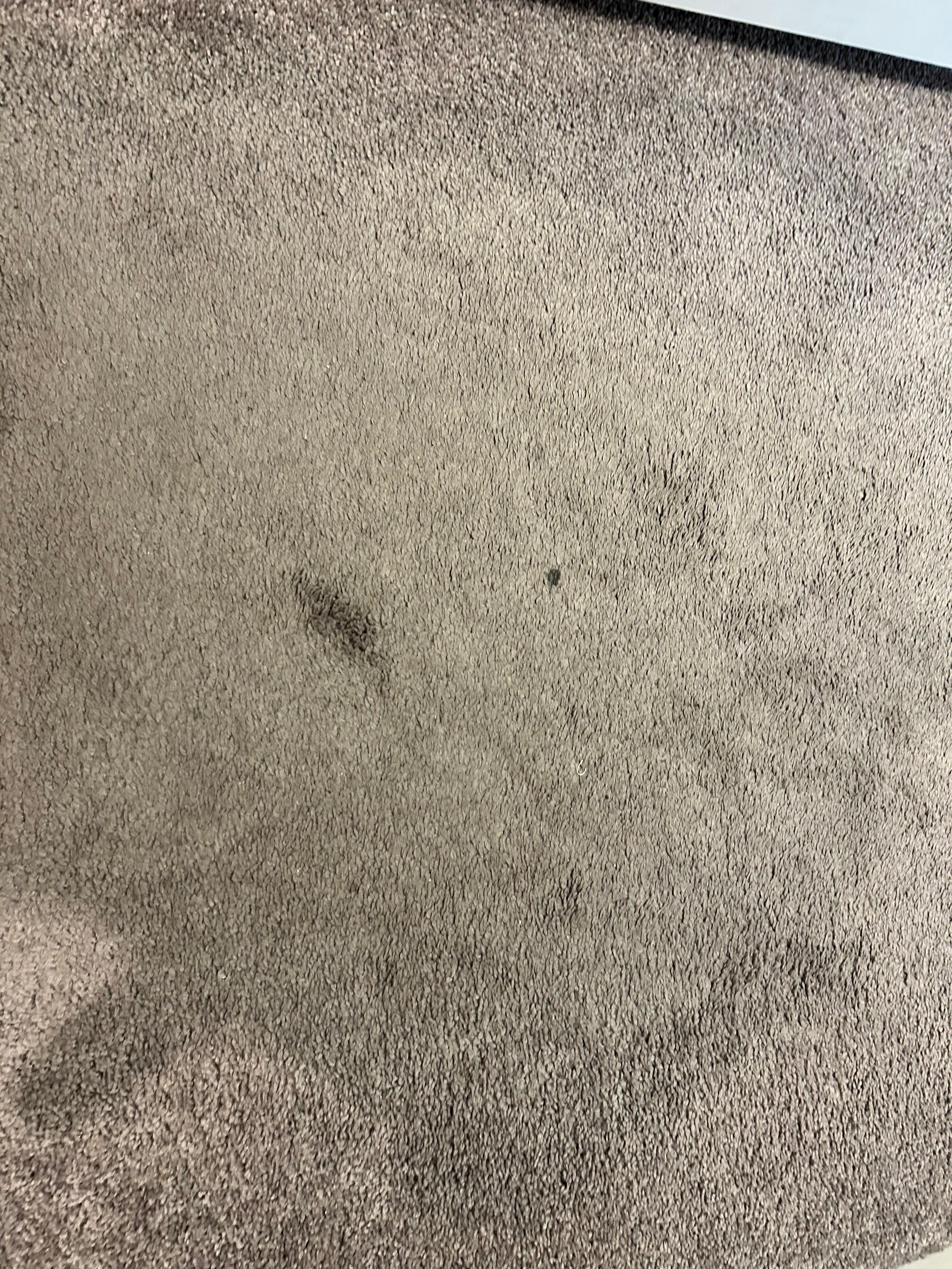 Dirty Carpet