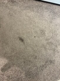 Dirty Carpet