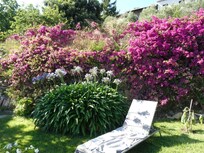 Beautiful garden with the house