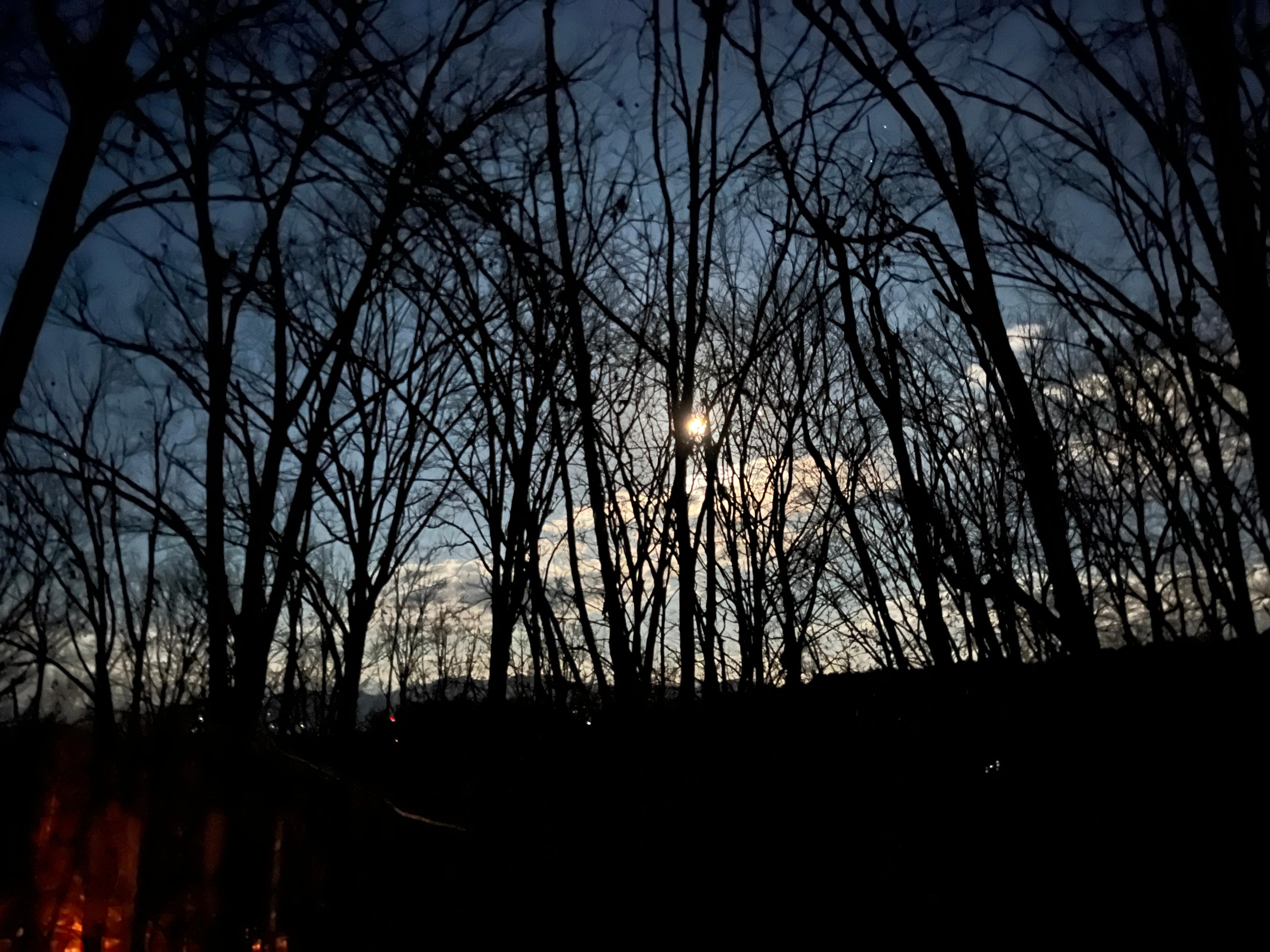 Wolf Moon! First of 2026