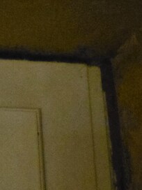 Bedroom mold