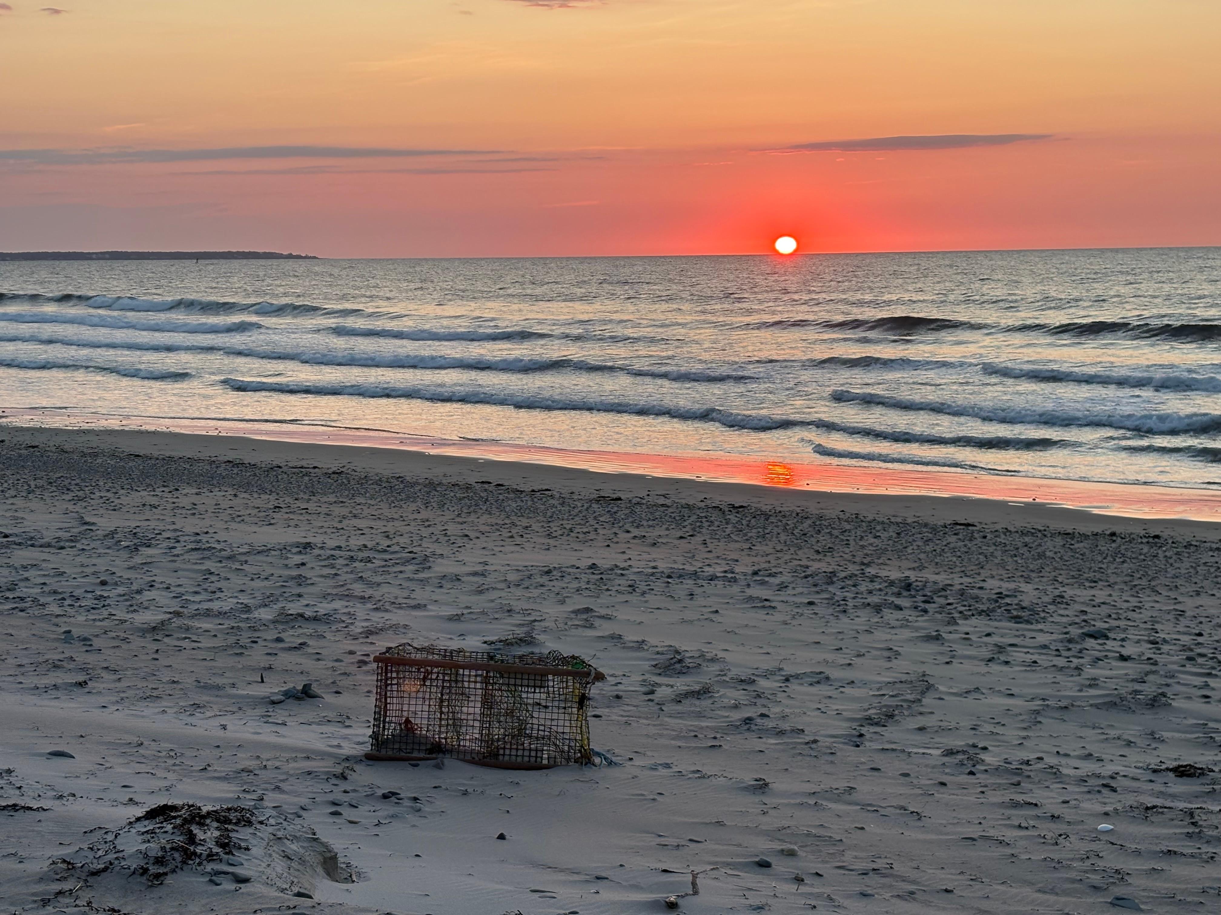 Views are unmatched!