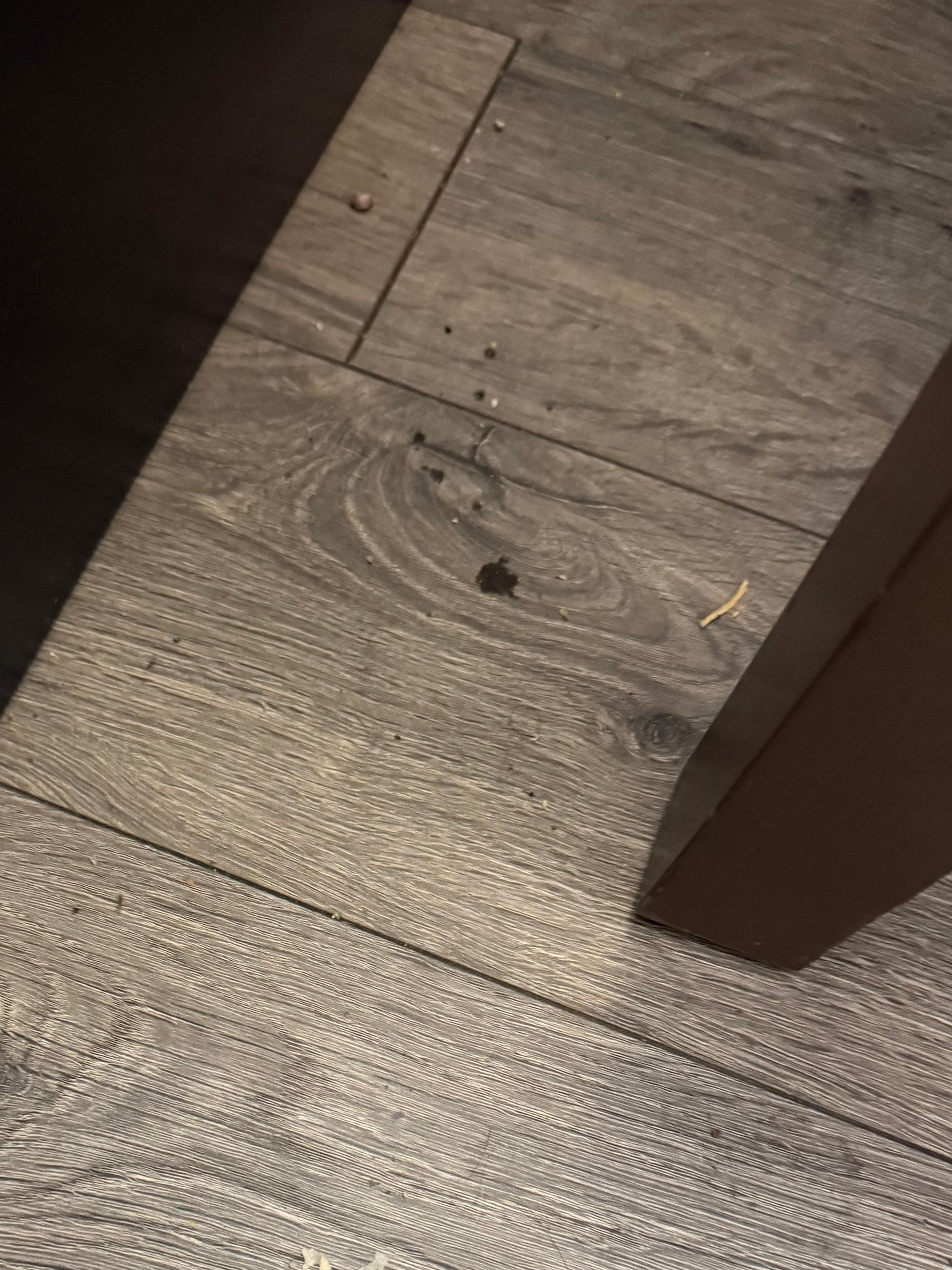 Dirt be beside the bed