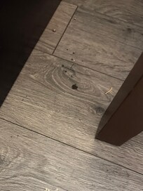 Dirt be beside the bed