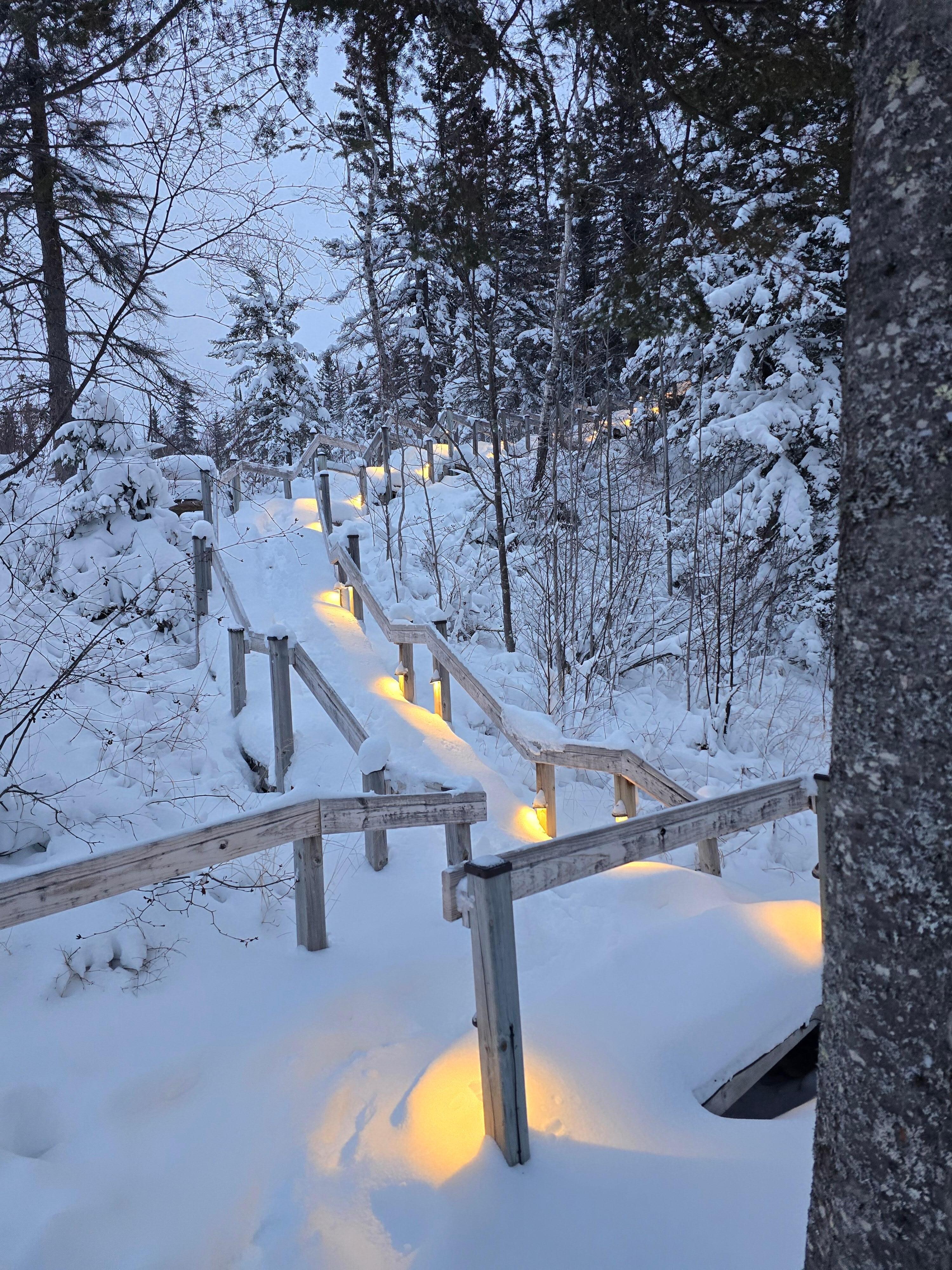 The nature walked down to the lake