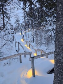 The nature walked down to the lake