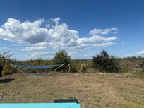 Beautiful yard