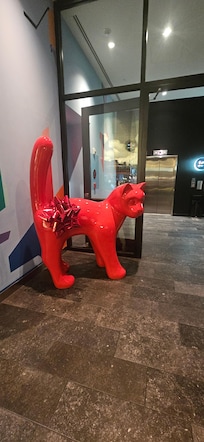 Who doesn't love cats?