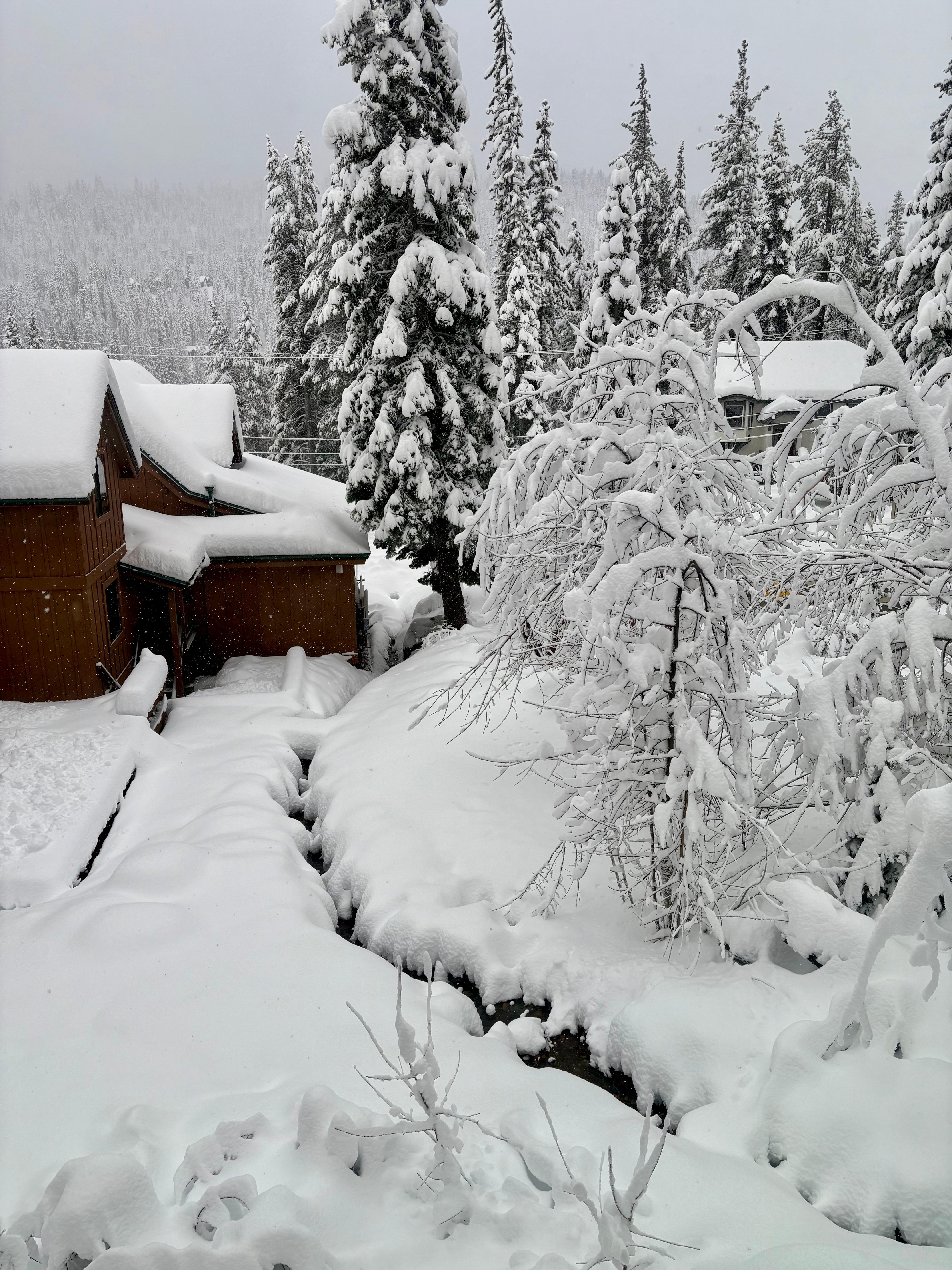 View from primary bedroom.