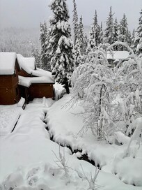 View from primary bedroom.