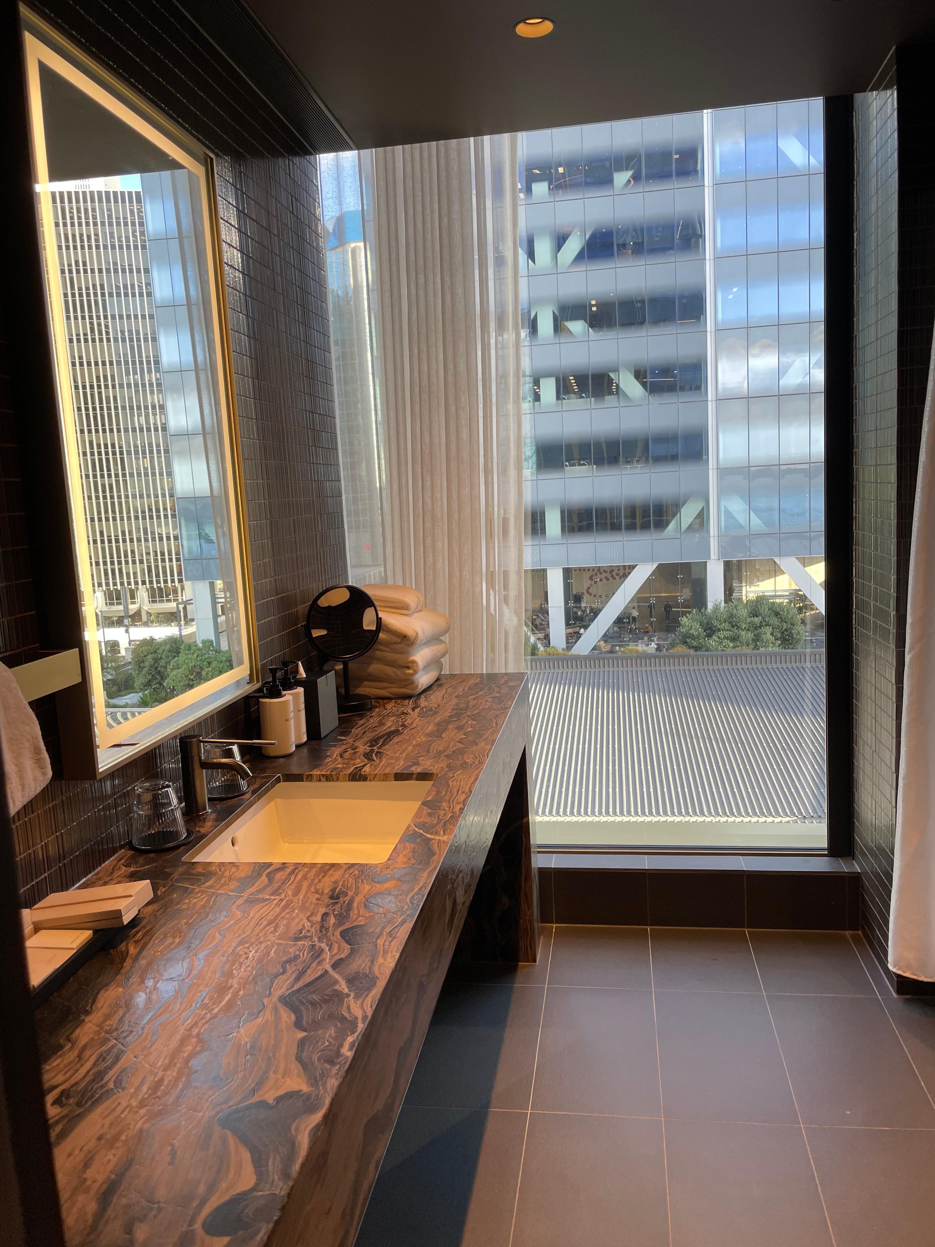Huge bathroom counter 