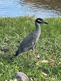 Edison & Ford Estates