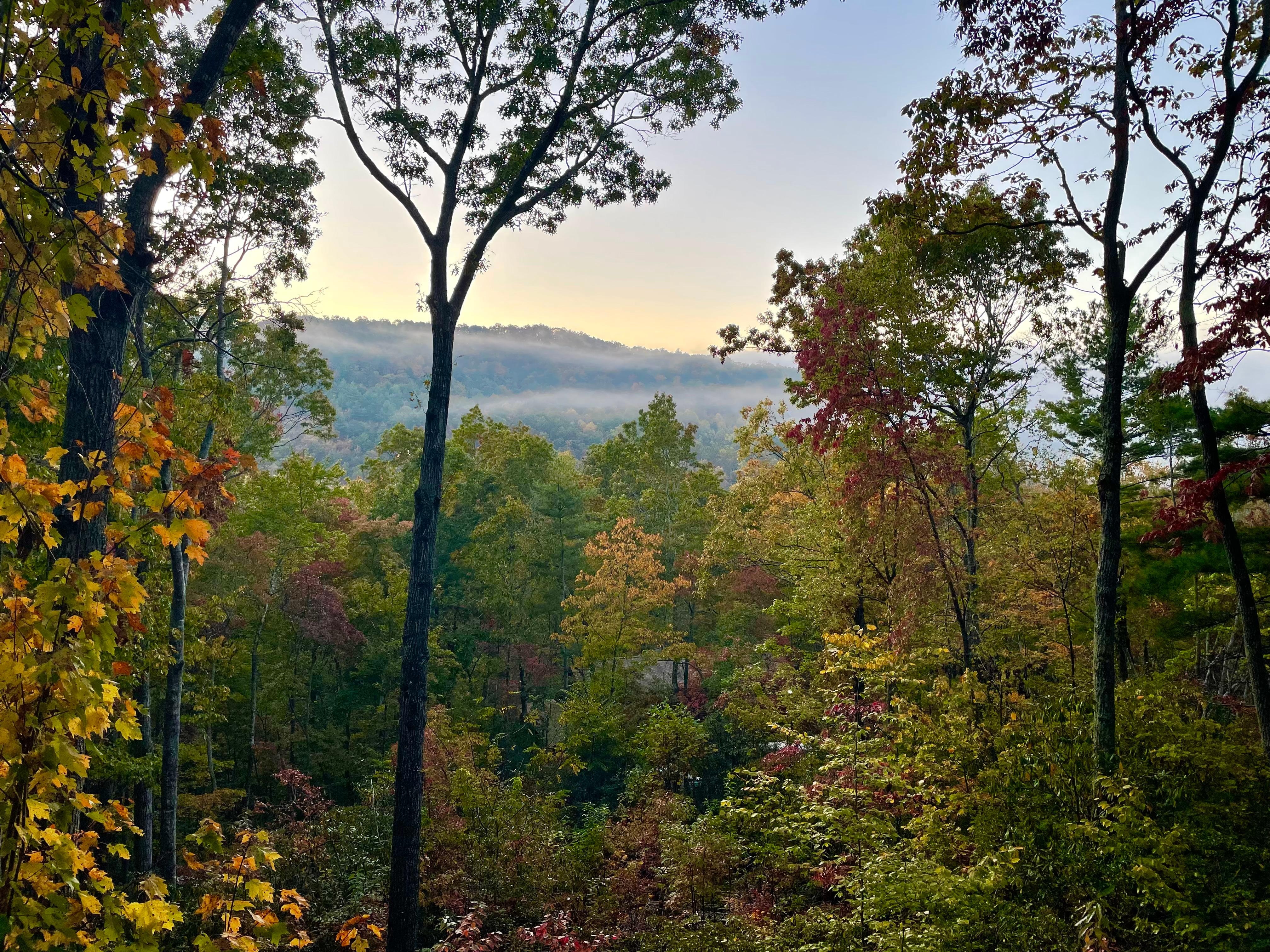 Outstanding morning view