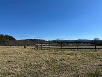 View from the backyards