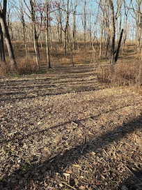 Park in neighborhood