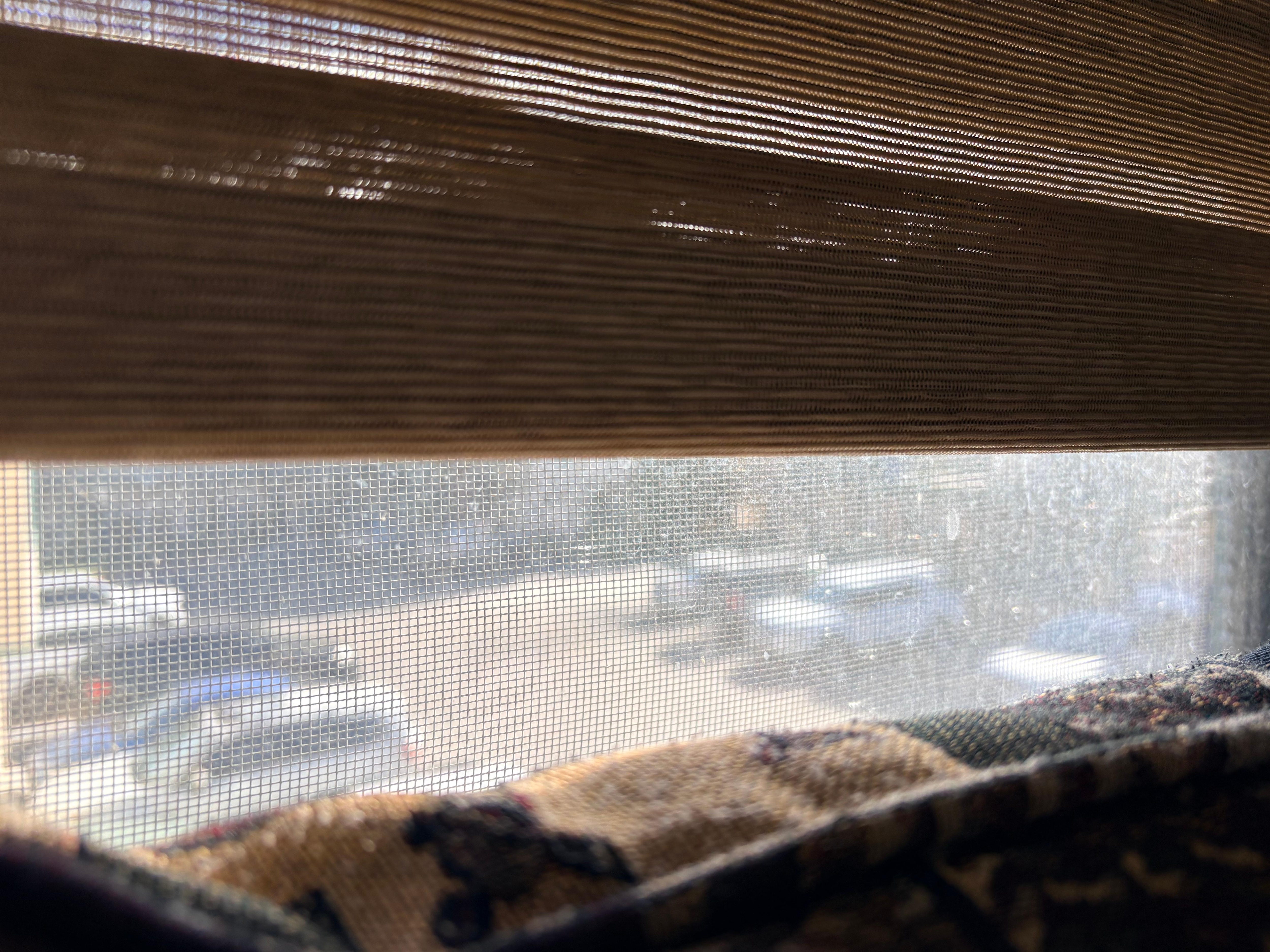 My view Room 232 Building 4