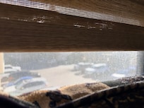 My view Room 232 Building 4