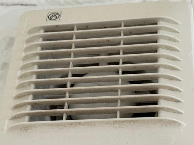 Mold and Dirt