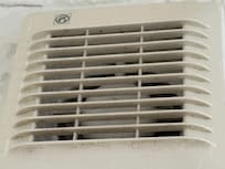 Mold and Dirt