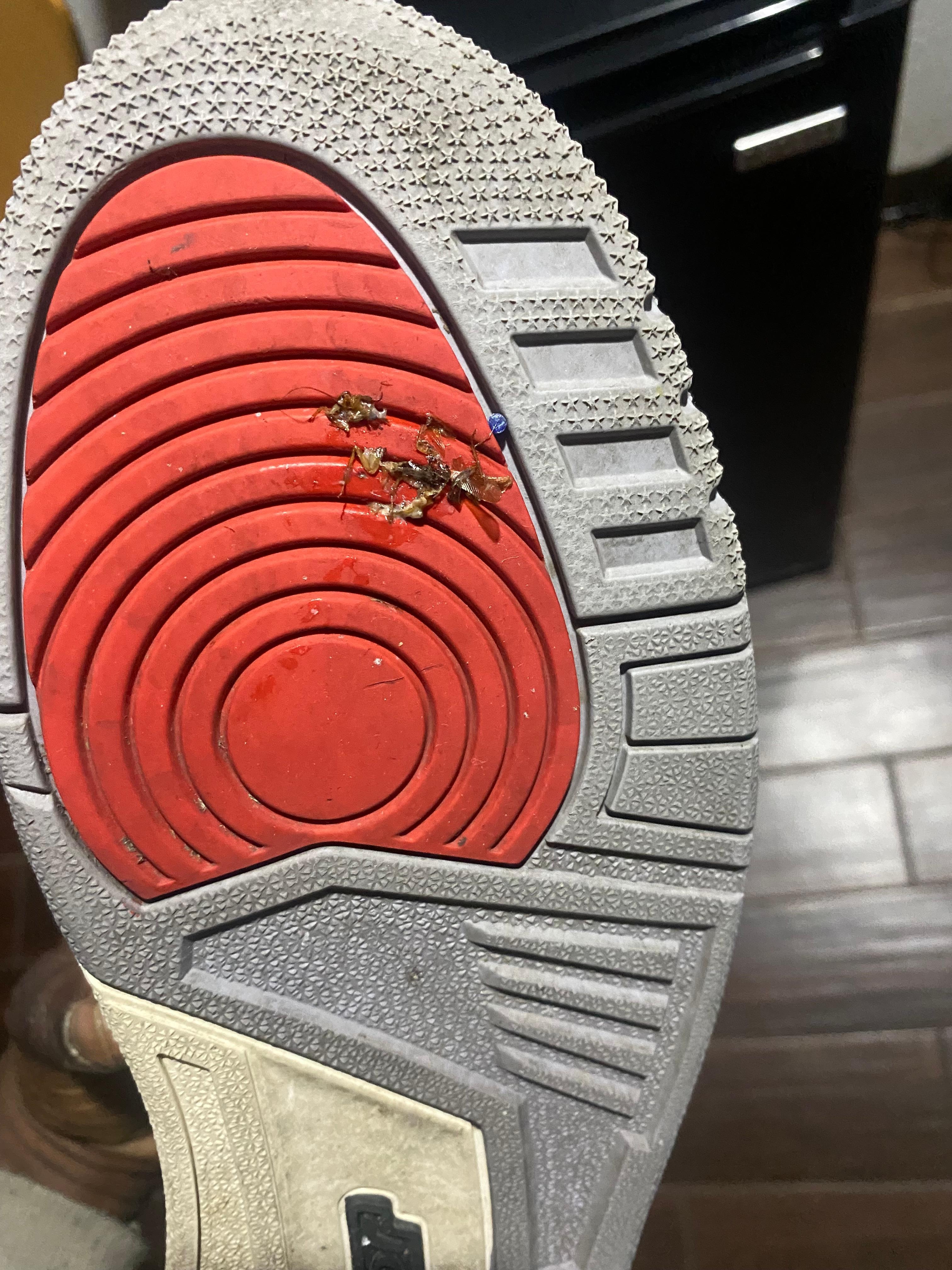 a roach I stepped on