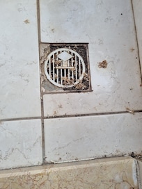 Drain