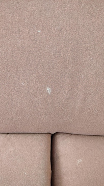 Dirty couch