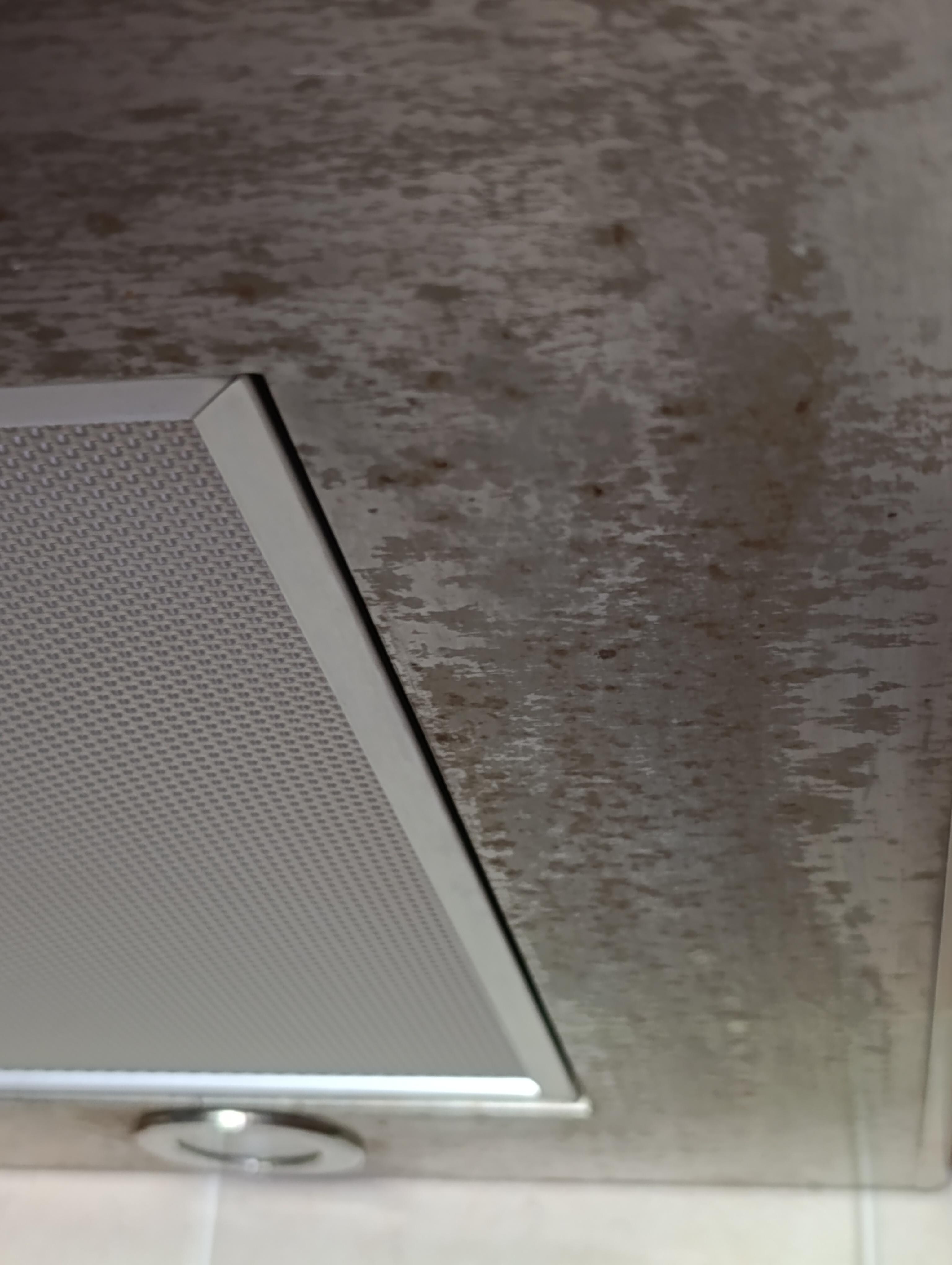 Graisse sur la hotte 