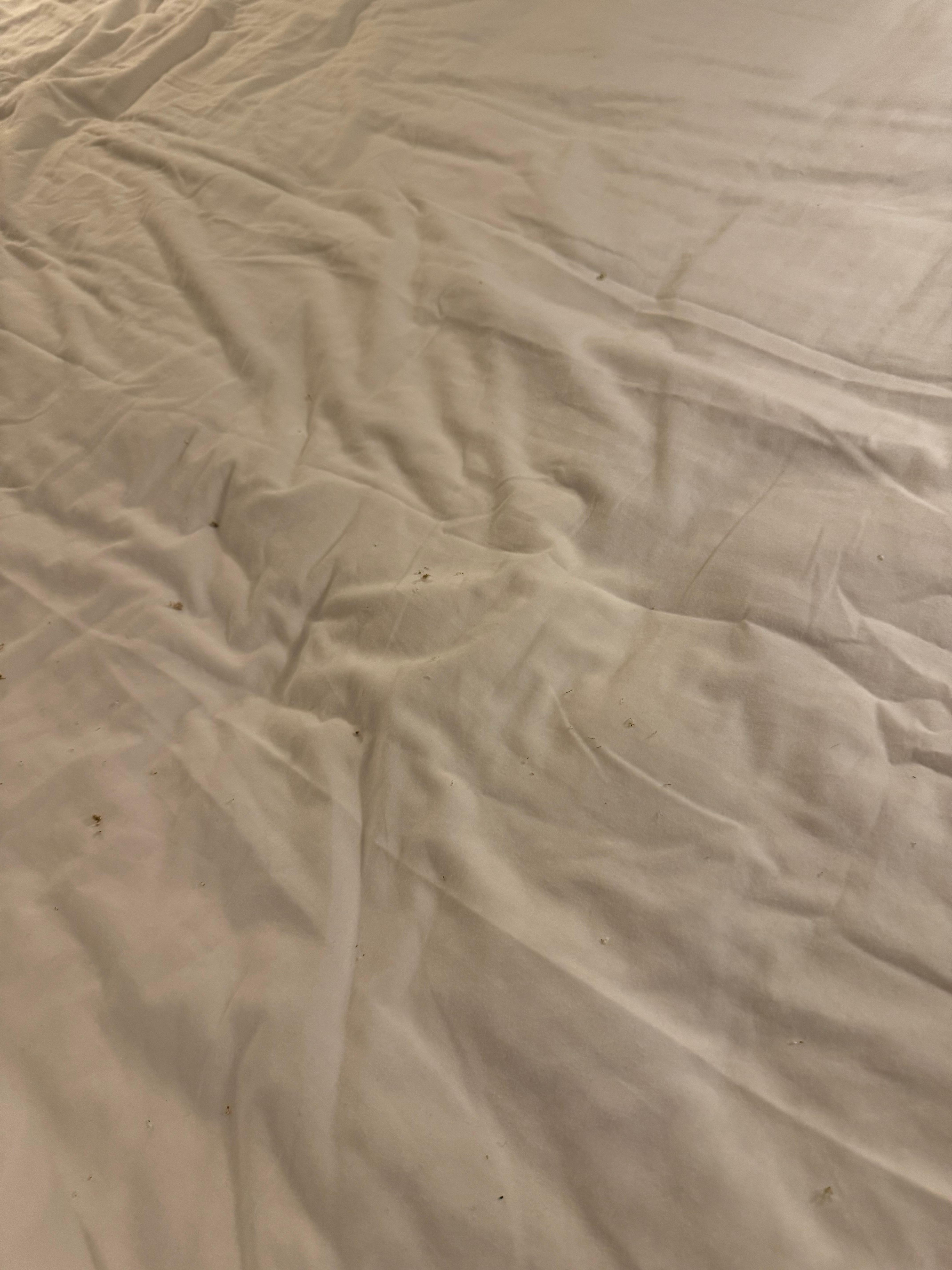 Bed was dirty