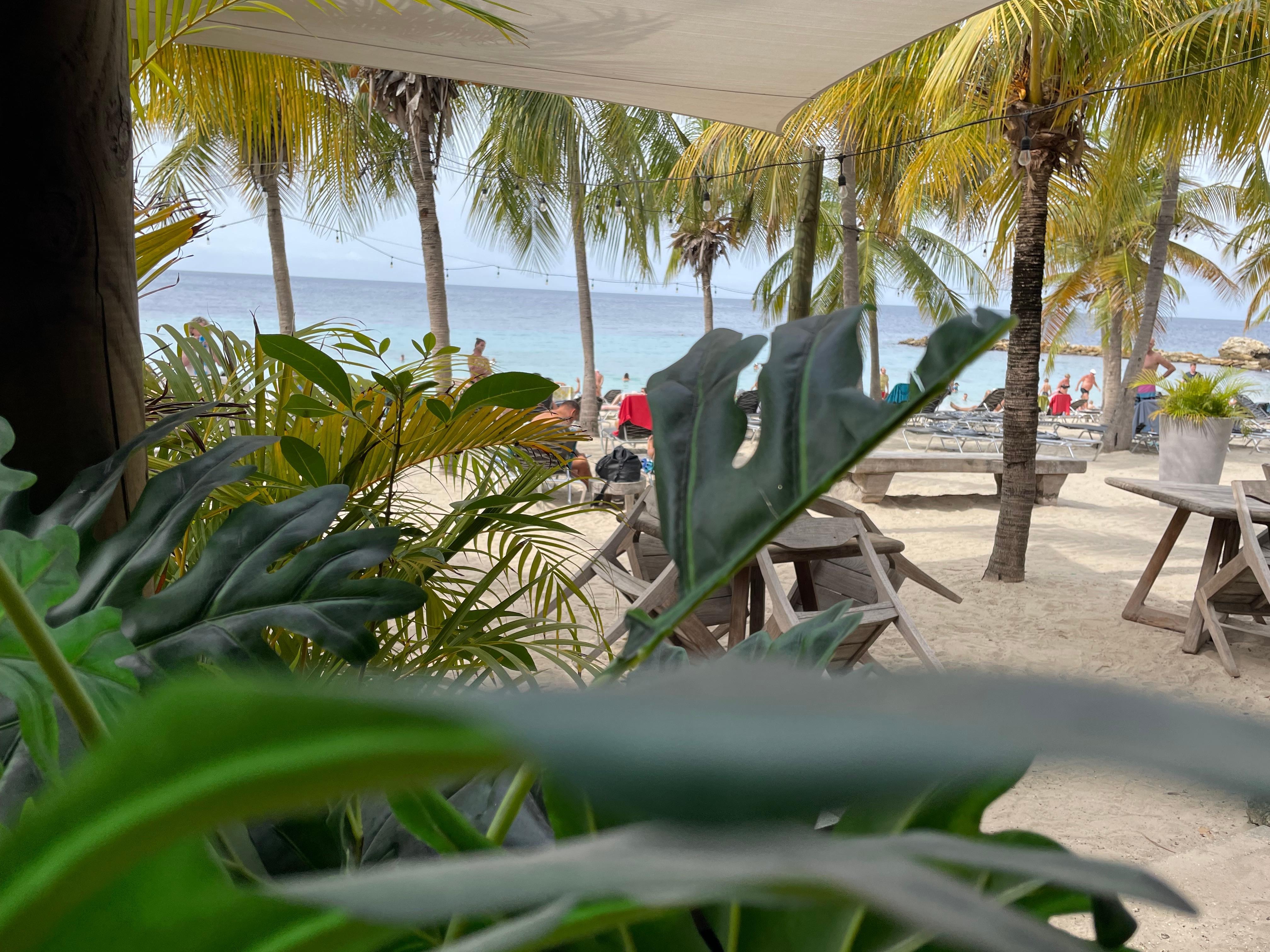 View dining at the beach 