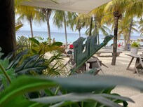 View dining at the beach