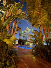 Pool view at night