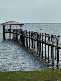 Seagulls lining the pier.