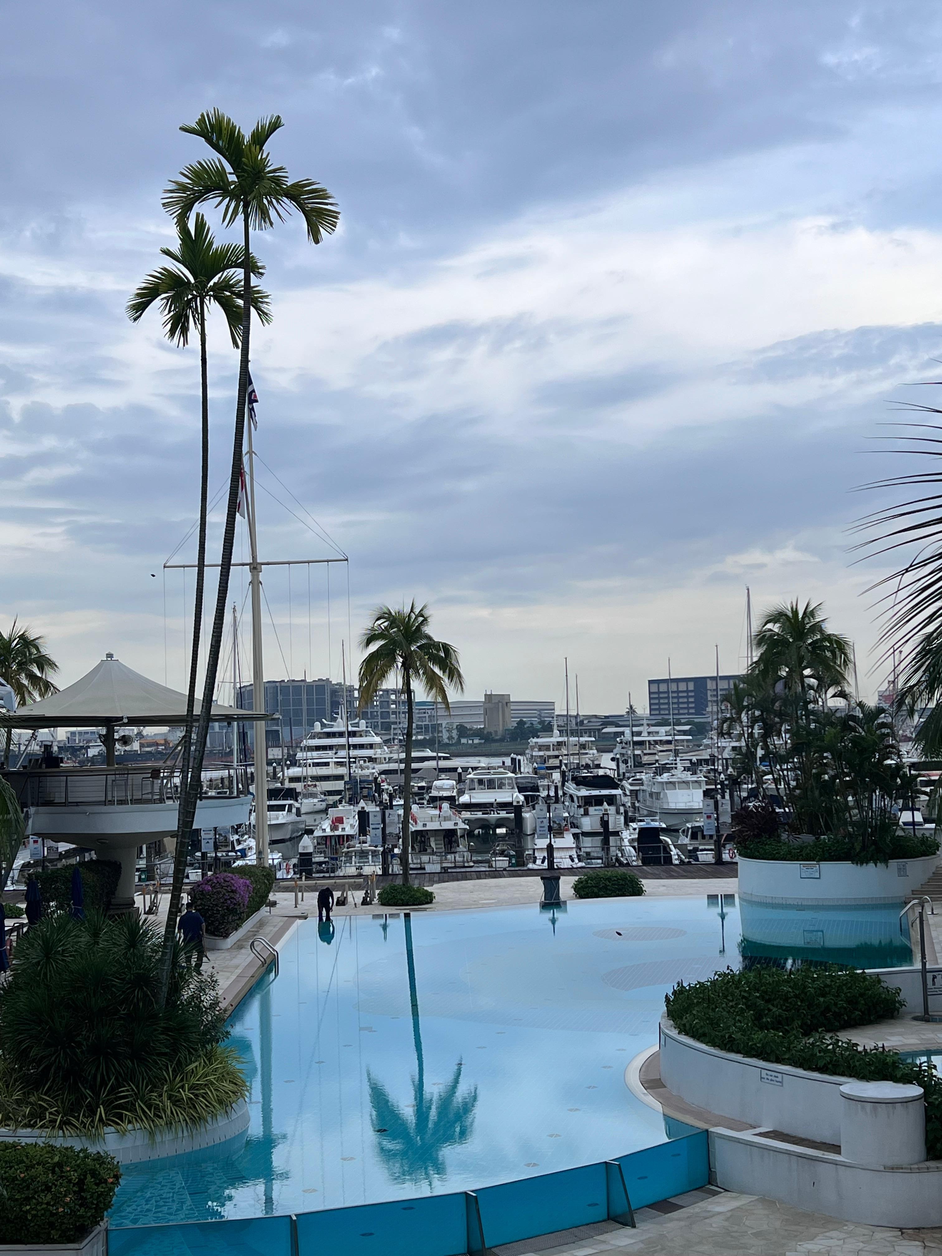 Taken from level two. Swimming pool and the view 