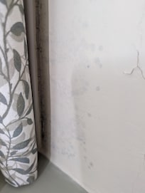 Mould on the wall.