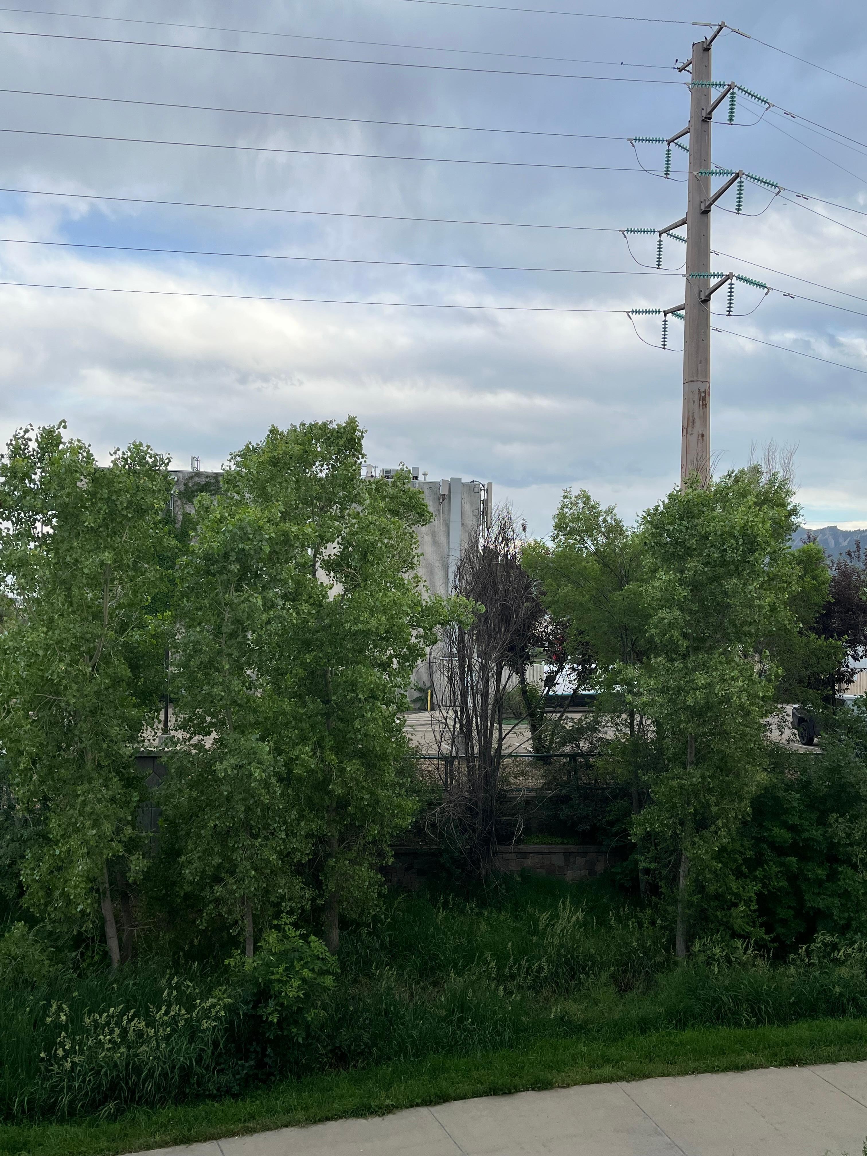 High tension power lines 