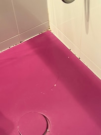 Mold in shower.