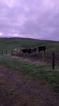 At the farm