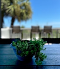 Breakfast with sunrise and a cute plant