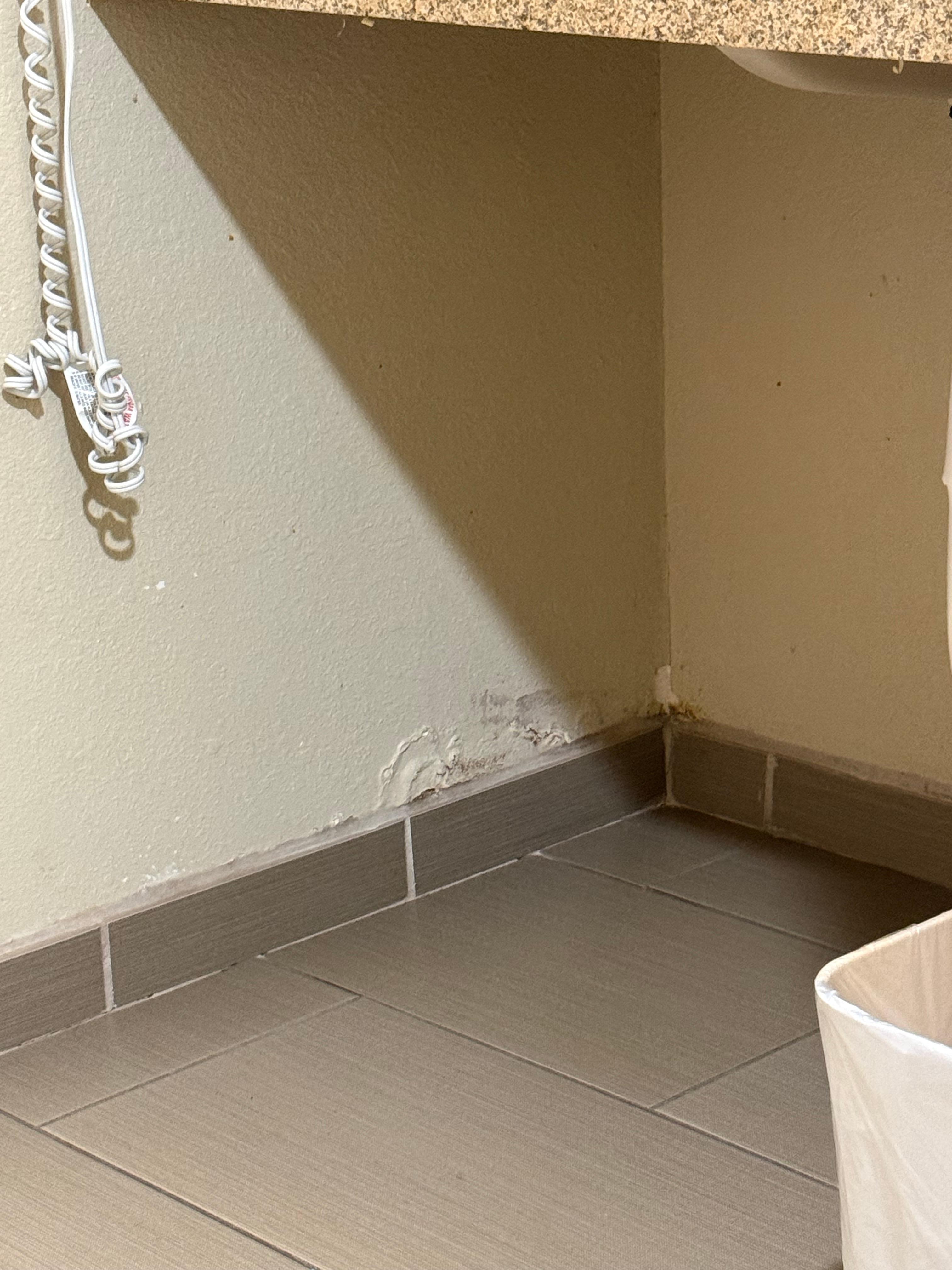 Water damage smell like mildew