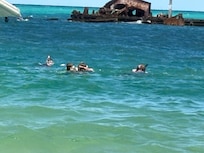 Diving on the wrecks just amazing