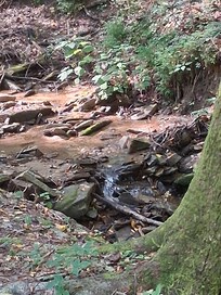 Stream beside cottage