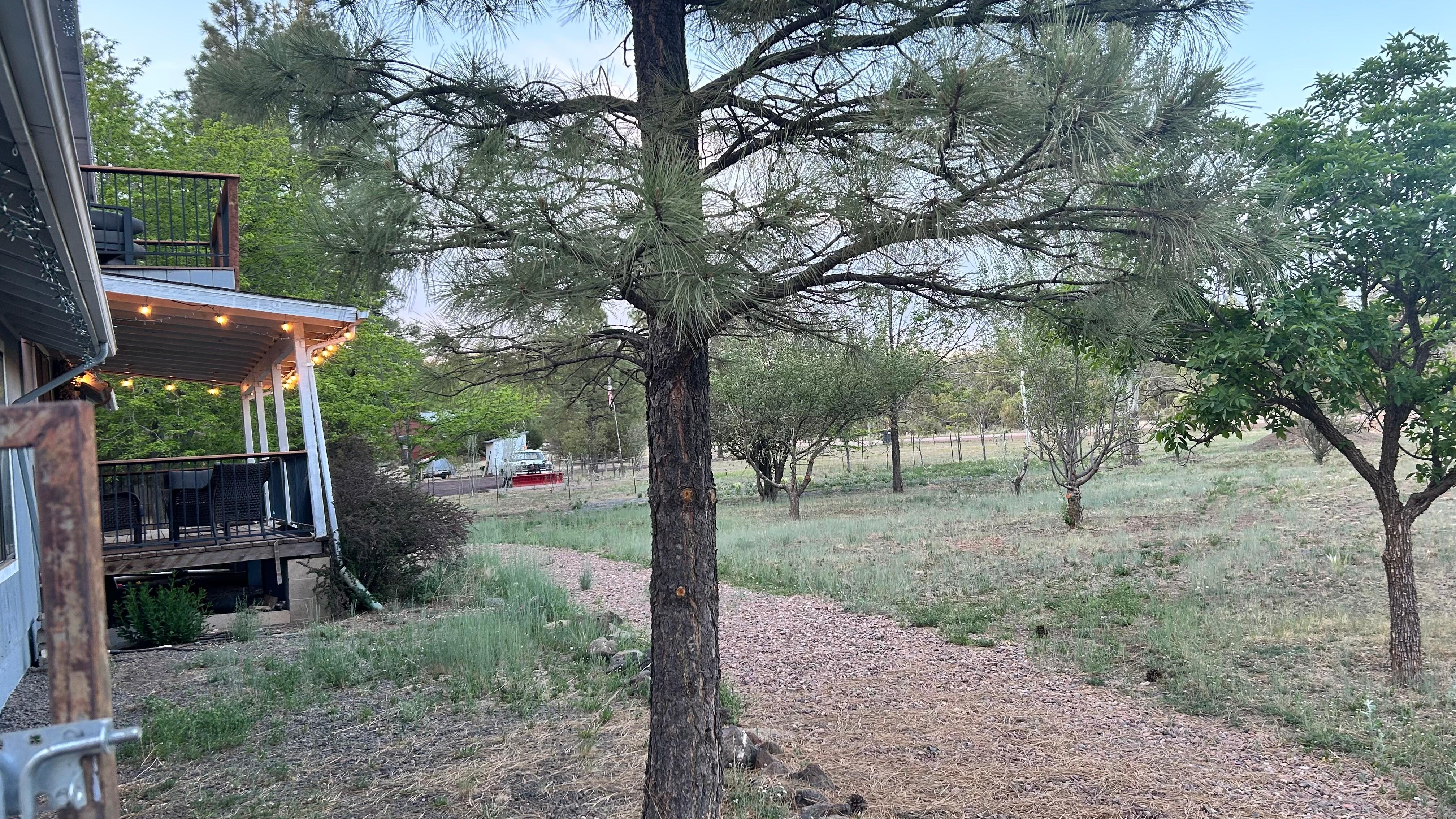 From the side of the house, with the back porch and upstairs balcony on the left. 