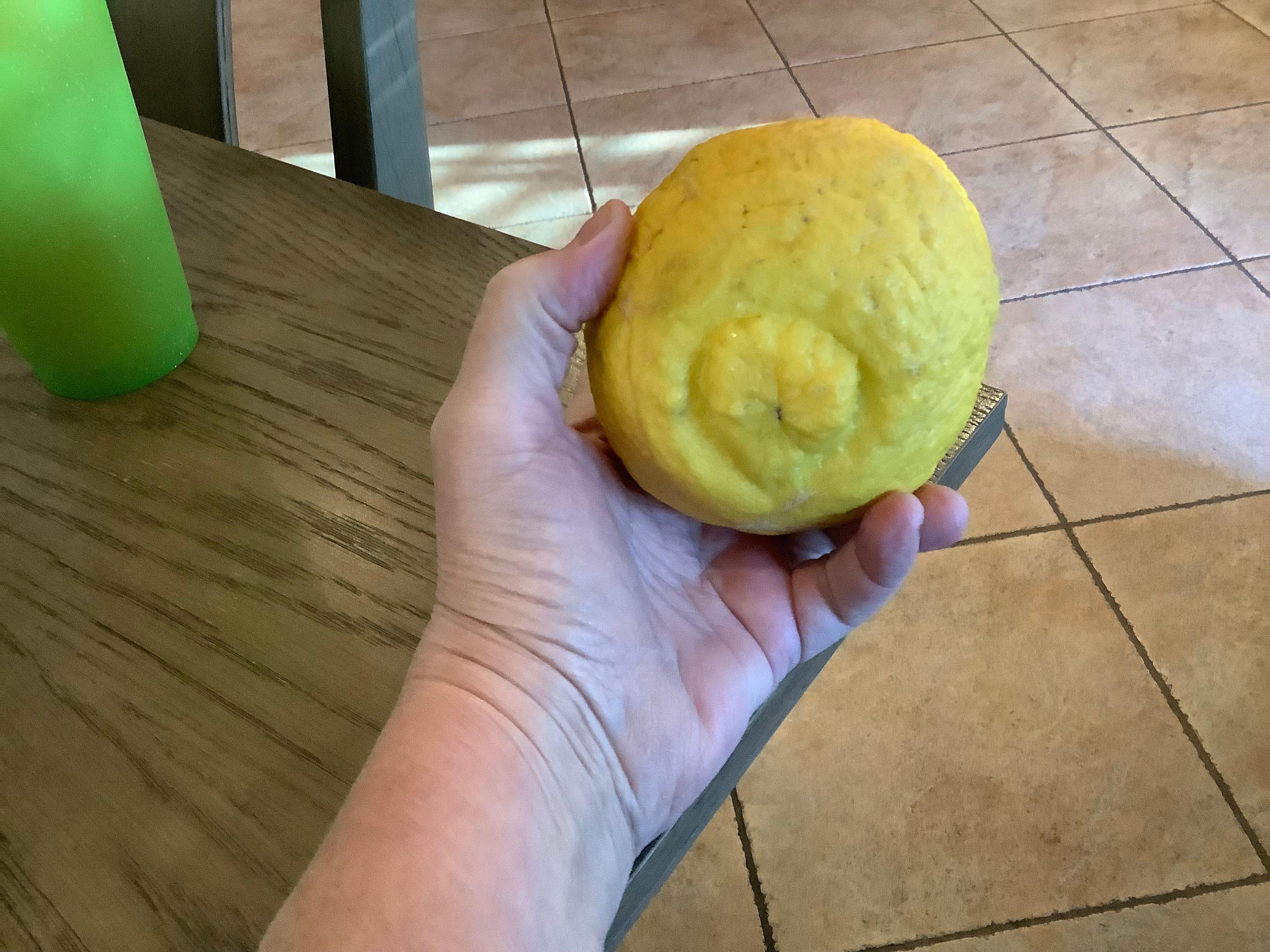 From the tree in the back yard