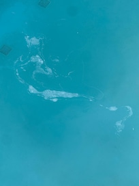 I donât know what this giant gross thing is floating in the pool but it was there all day one day. Made us not want to swim!