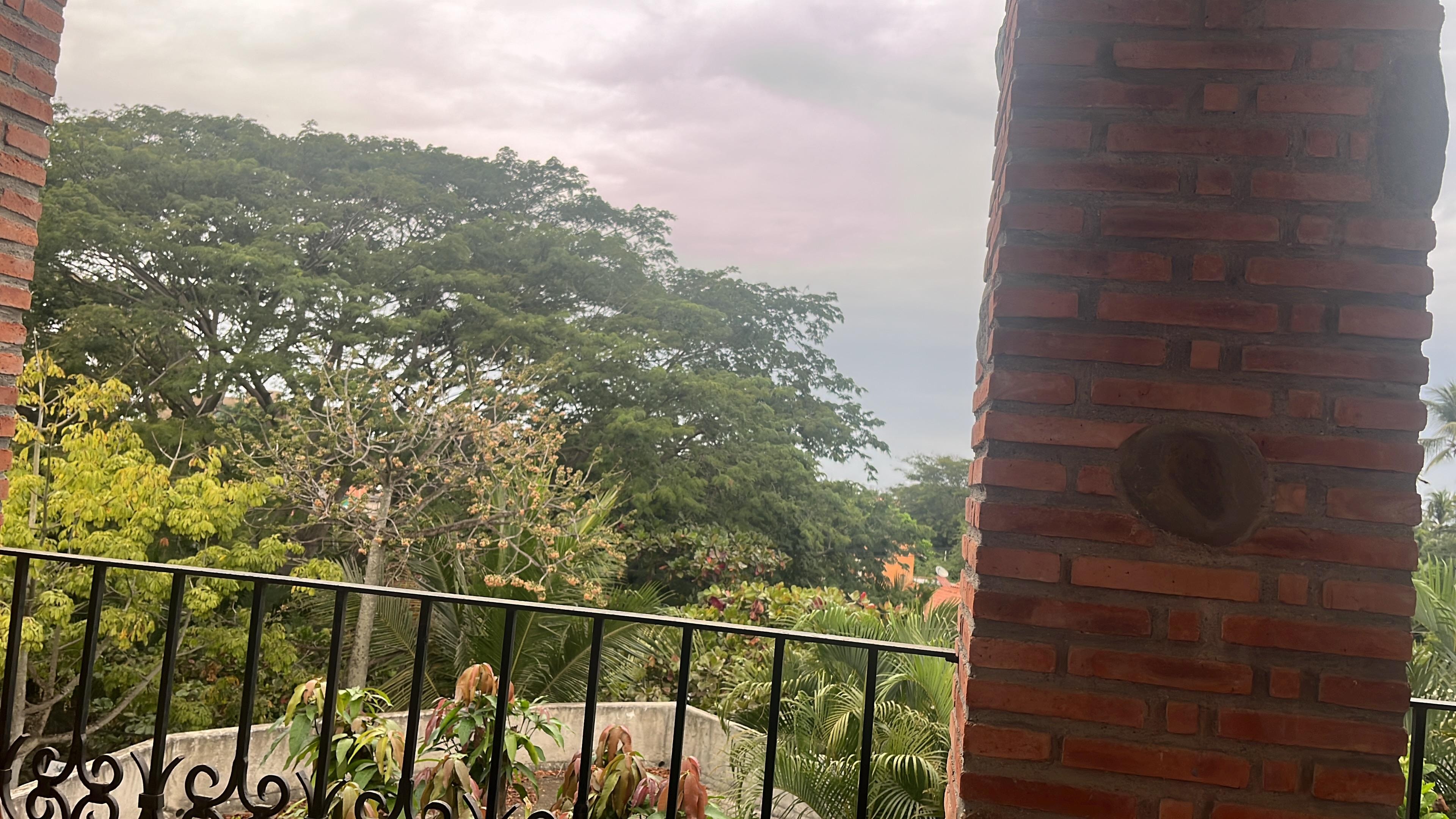 View while enjoying morning coffee 