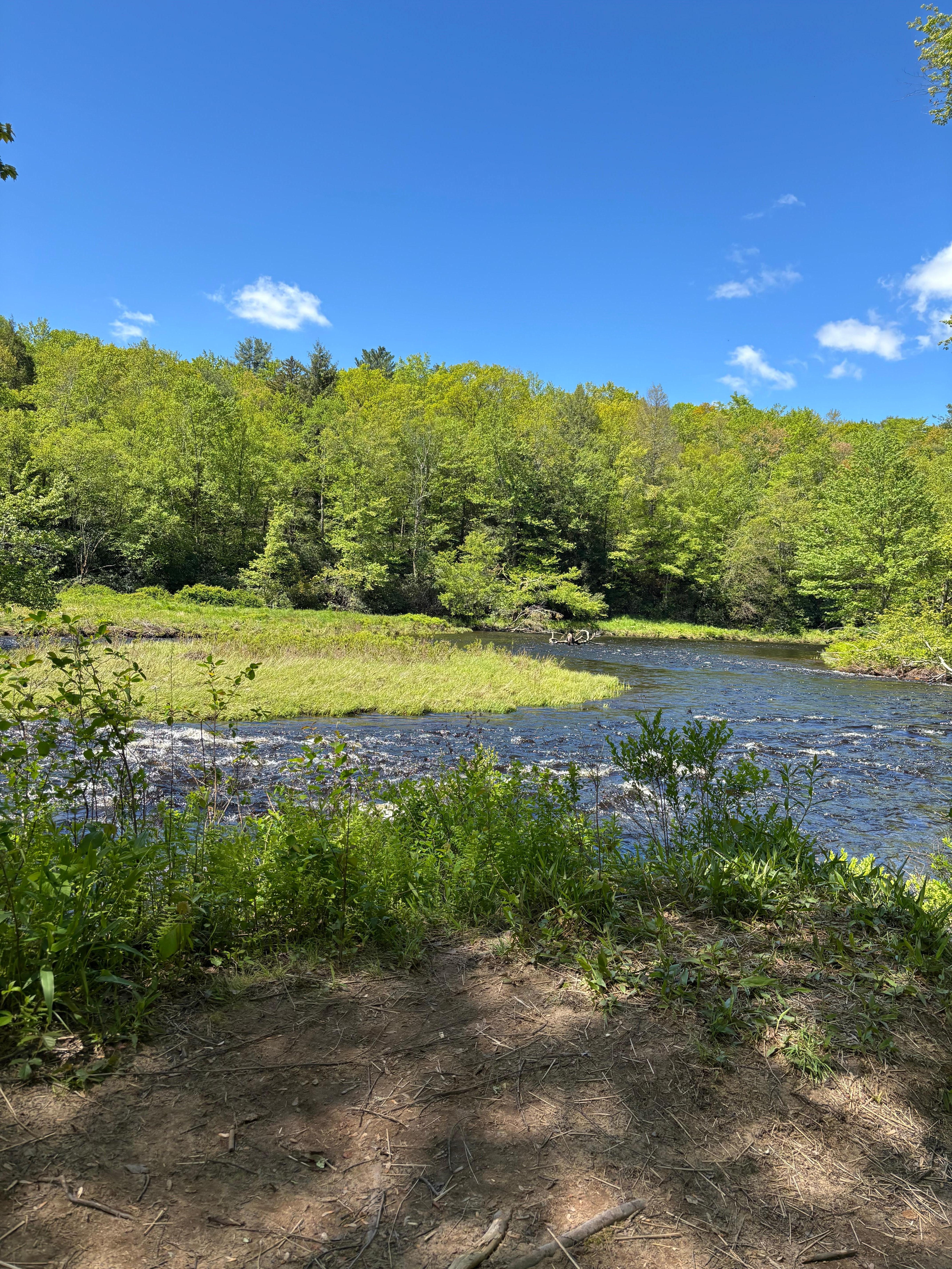 Tobyhanna Creek