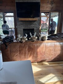 Adorable reindeer 'puppets' from the kids' bunk room are hanging out in the living room with us!