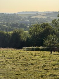 Bedroom view early morning.